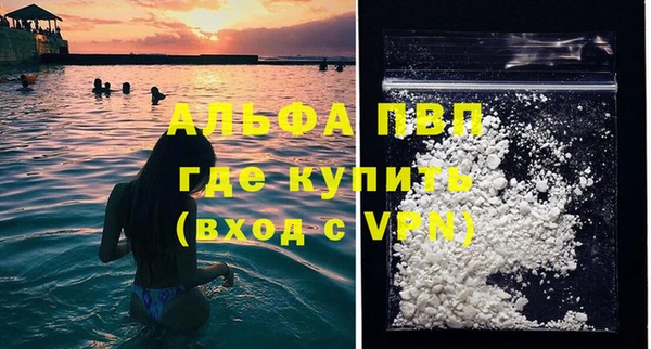 сатива Рославль