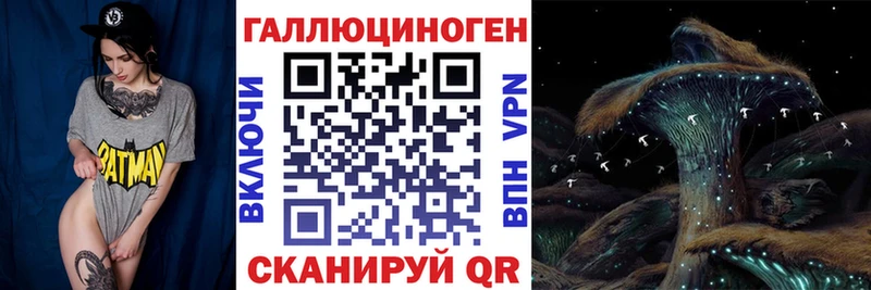 Галлюциногенные грибы GOLDEN TEACHER Искитим