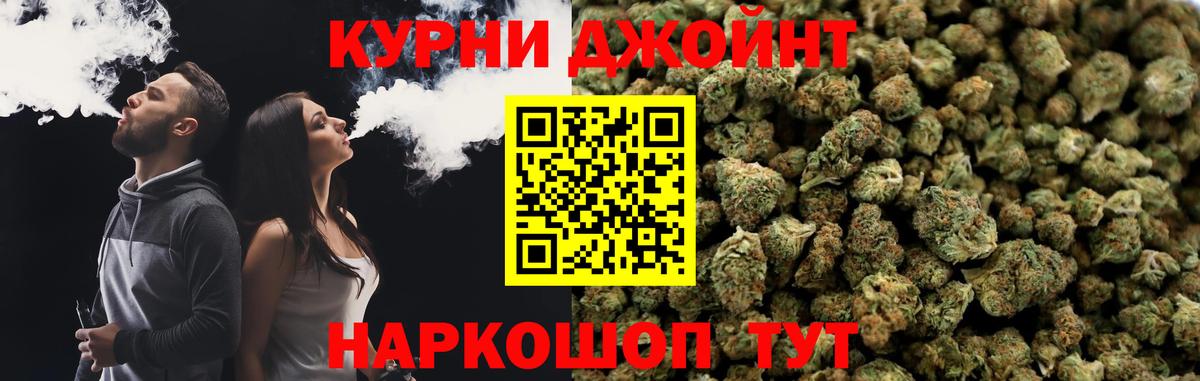 Конопля гибрид Искитим